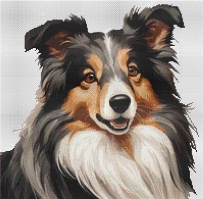 (image for) Tri-Color Sheltie